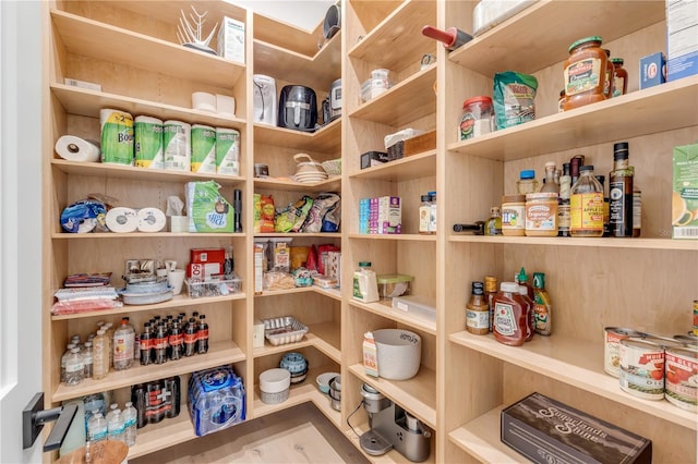 view of pantry