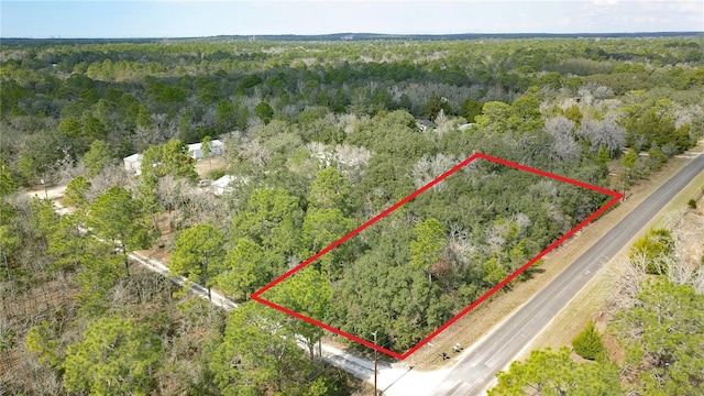 2901 W Aries Ct, Lecanto FL, 34461 land for sale