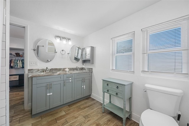 bathroom with vanity, wood-type flooring, and toilet