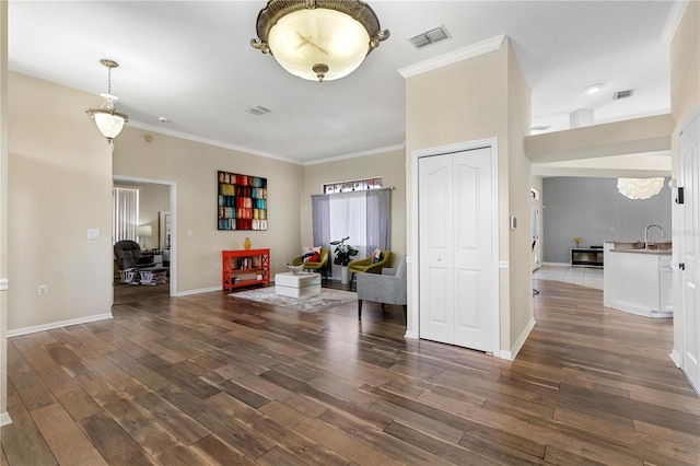 interior space featuring ornamental molding, dark wood-type flooring, and sink