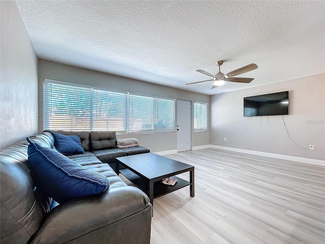 620 43rd Street Blvd W, Palmetto, FL 34221 - photo 13