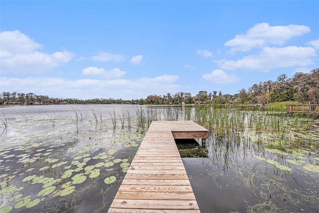 view of dock with a water view