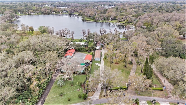 aerial view with a water view and a view of trees