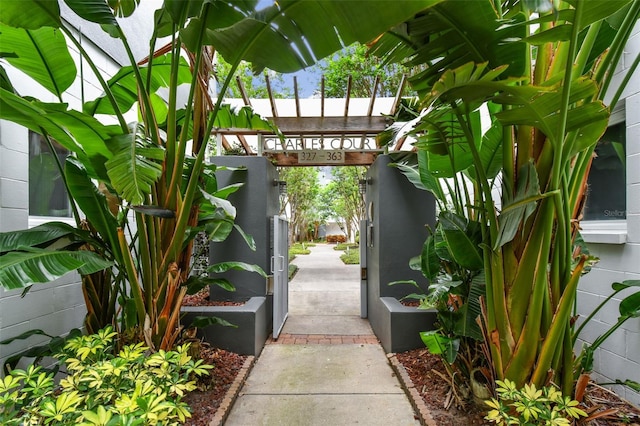 337 4th Ave S, Saint Petersburg, FL 33701 - photo 16