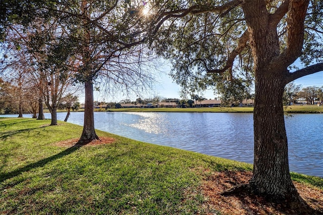 property view of water