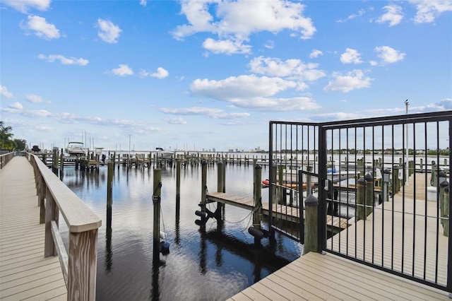 dock area with a water view