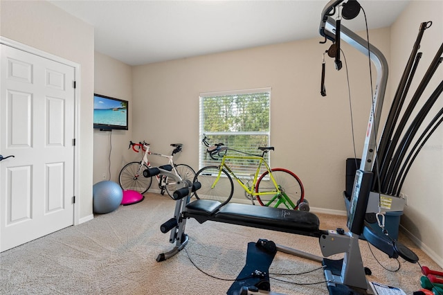 exercise area featuring carpet flooring