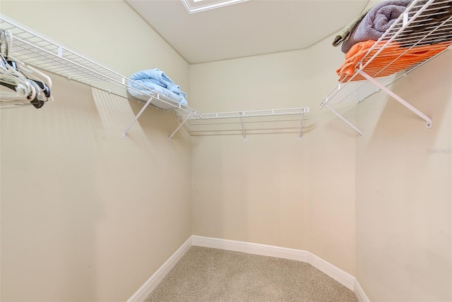 spacious closet with carpet floors