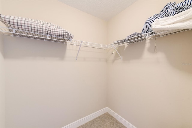 spacious closet with carpet floors