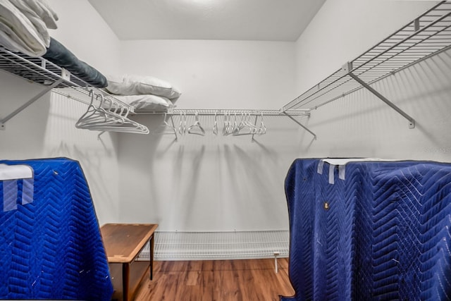 walk in closet with wood-type flooring