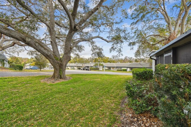 1287 N Mcmullen Booth Rd, Clearwater, FL 33759 - photo 38