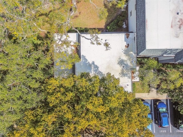 1287 N Mcmullen Booth Rd, Clearwater, FL 33759 - photo 50