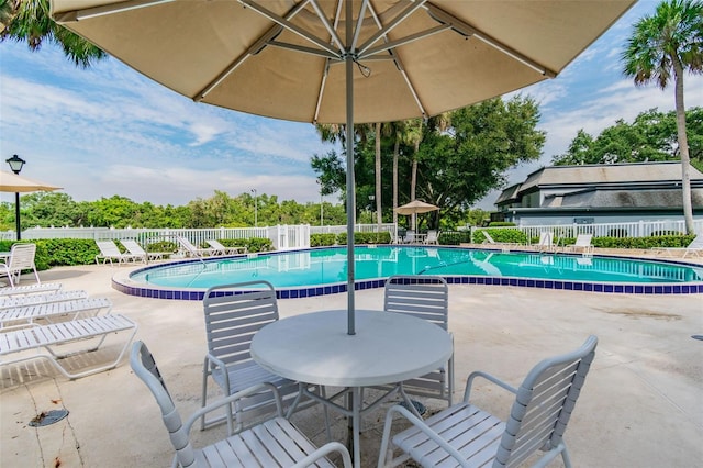 1287 N Mcmullen Booth Rd, Clearwater, FL 33759 - photo 52
