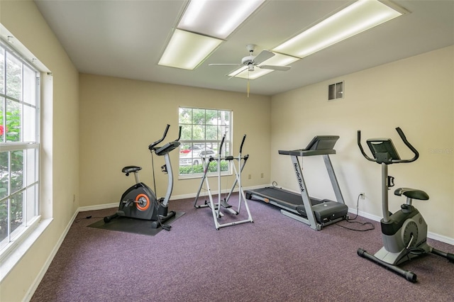 1287 N Mcmullen Booth Rd, Clearwater, FL 33759 - photo 55