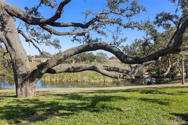 view of community with a water view and a yard