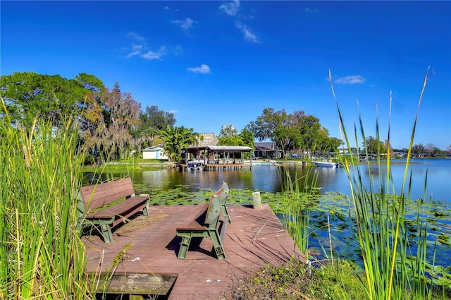 view of property's community featuring a boat dock and a water view