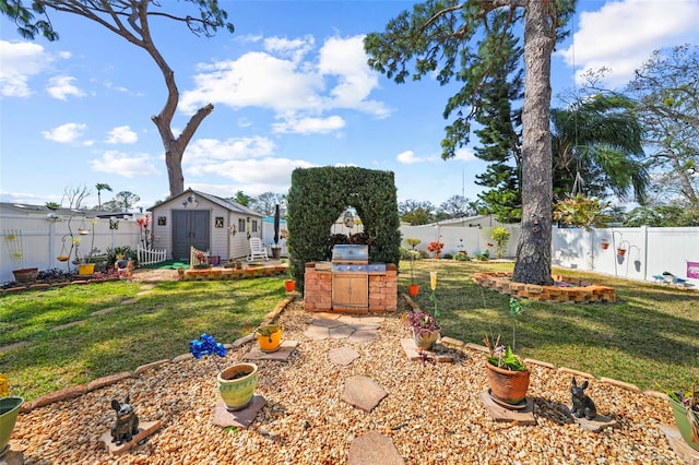 view of yard with area for grilling and a storage unit