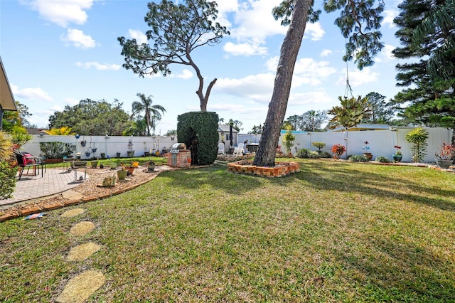 view of yard with a patio