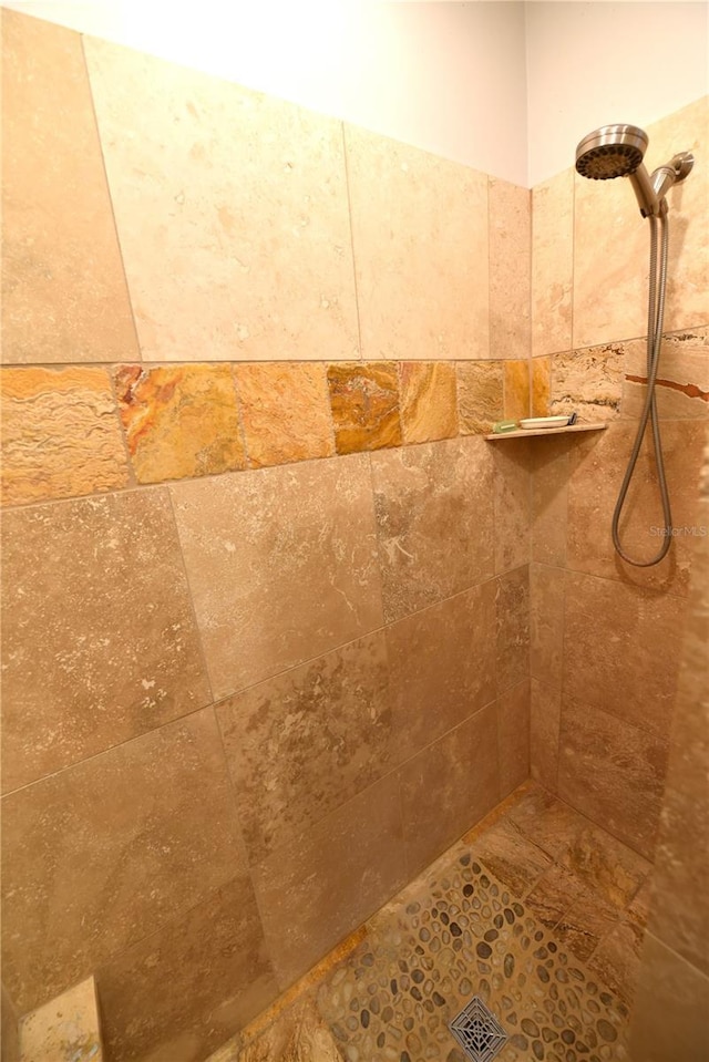 room details with tiled shower