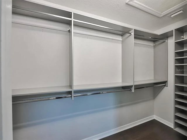 walk in closet featuring dark wood-style flooring