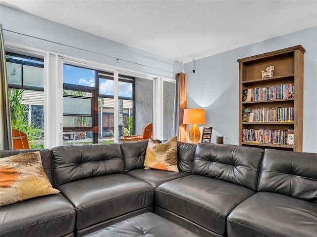 living room with a textured ceiling