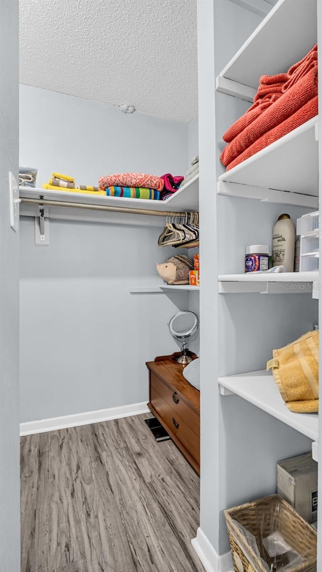 spacious closet with light hardwood / wood-style flooring