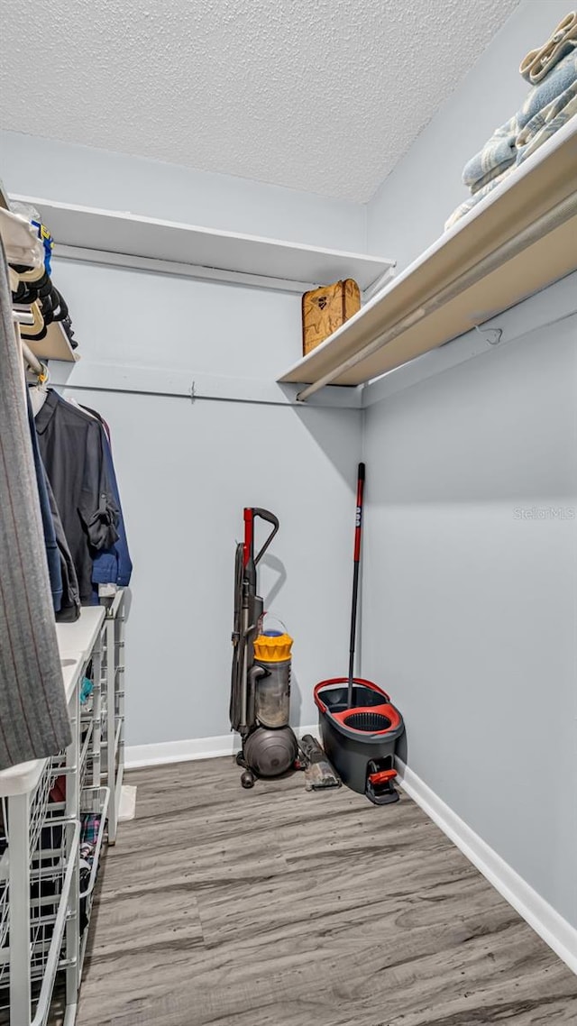 walk in closet featuring wood-type flooring