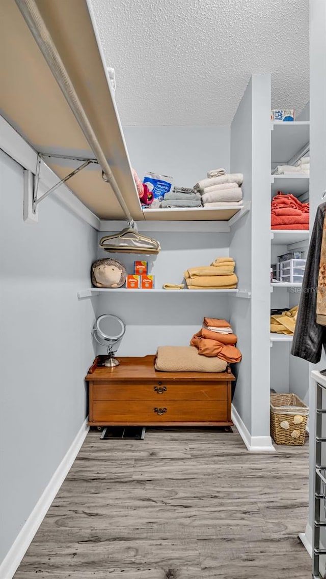 spacious closet with light hardwood / wood-style floors