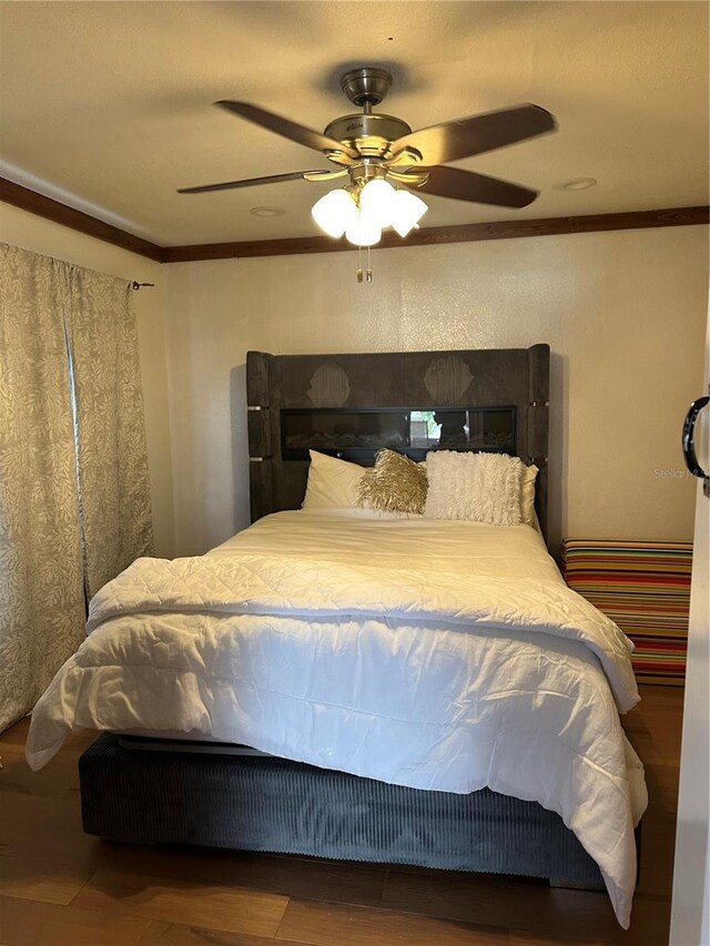 2102 W Ivy St, Tampa, FL 33607 - photo 26