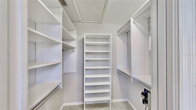 view of spacious closet