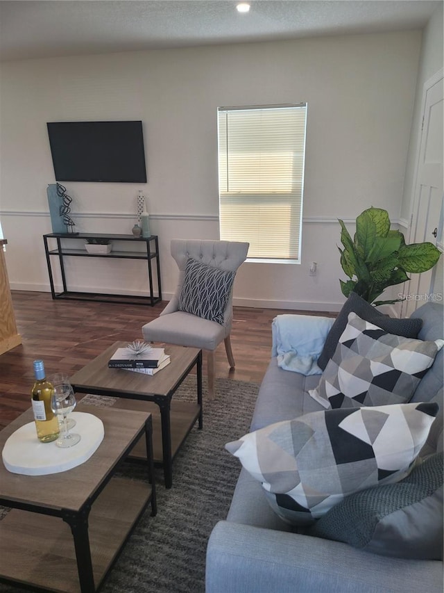 living room with a textured ceiling and dark hardwood / wood-style flooring