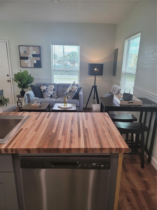 kitchen with dark hardwood / wood-style floors, stainless steel dishwasher, and wood counters