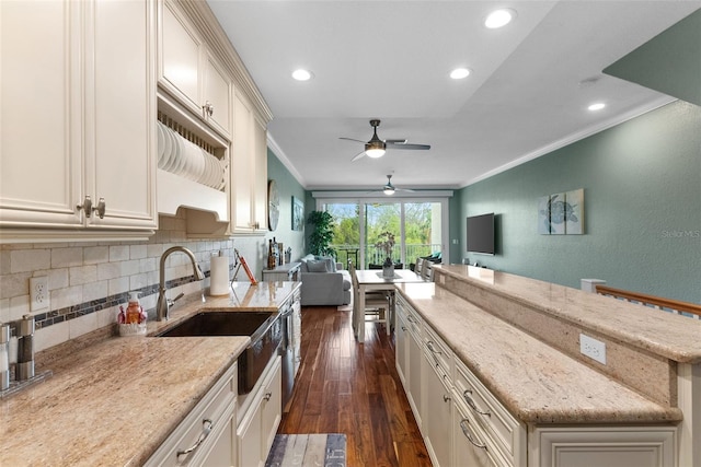 kitchen with crown molding, light stone countertops, sink, and dark hardwood / wood-style floors