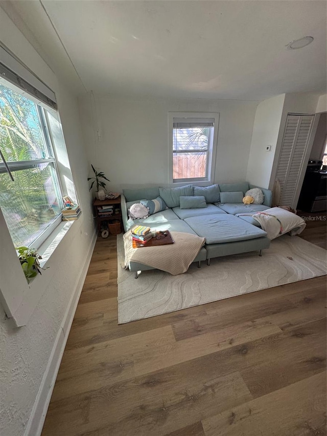 living room featuring hardwood / wood-style flooring