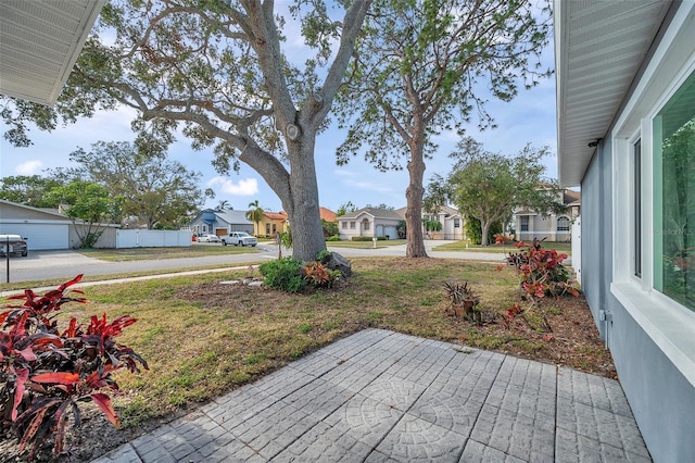 view of yard featuring a patio