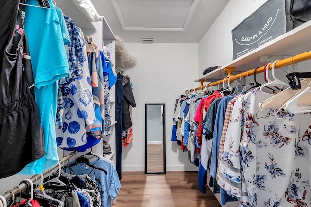 walk in closet with wood-type flooring