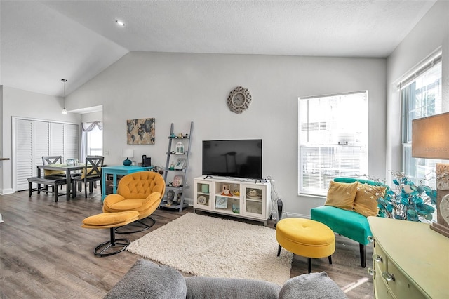 living room featuring vaulted ceiling, hardwood / wood-style floors, and a textured ceiling