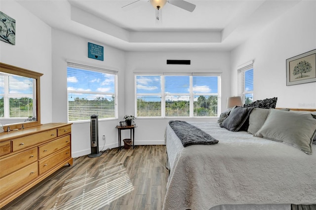 bedroom with multiple windows, dark hardwood / wood-style floors, and a raised ceiling