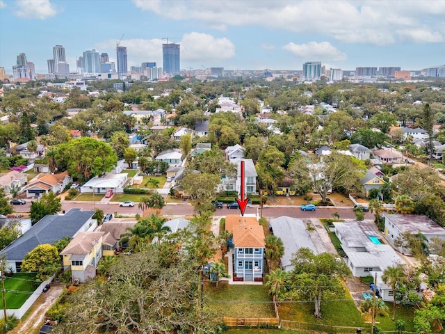 bird's eye view