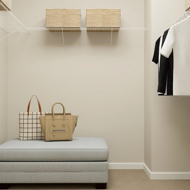 walk in closet with carpet floors