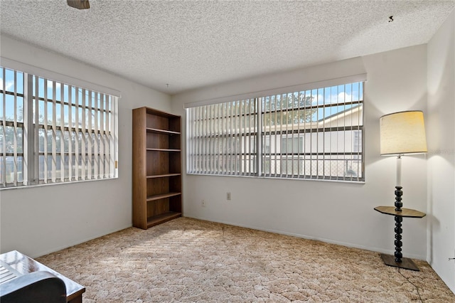 interior space with light carpet and a textured ceiling