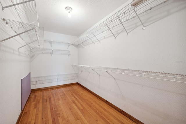 walk in closet featuring hardwood / wood-style flooring