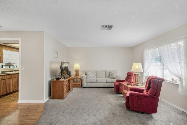 living room with light hardwood / wood-style floors, sink, and a textured ceiling