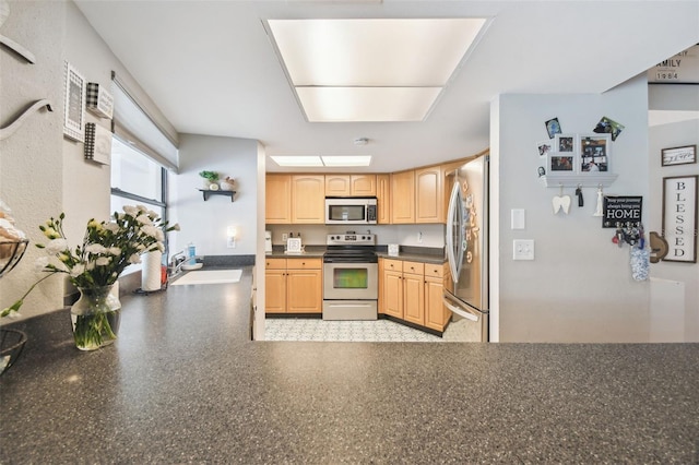 kitchen with sink, stainless steel appliances, and light brown cabinets