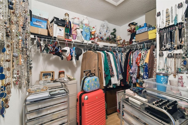 walk in closet featuring hardwood / wood-style flooring