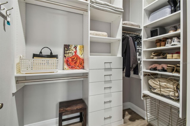 18 Franklin Ct S Unit D, Saint Petersburg, FL 33711 - spacious closet with wood finished floors