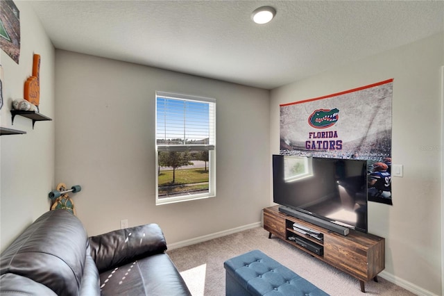 carpeted living room featuring a textured ceiling