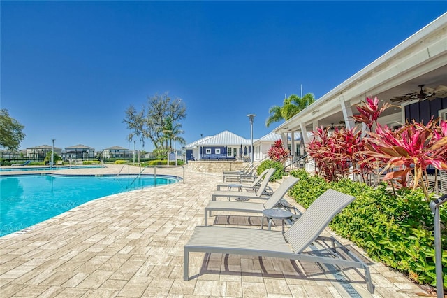 view of swimming pool with a patio and ceiling fan