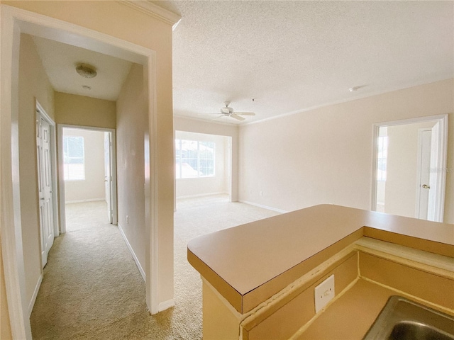 18001 Richmond Place Dr Unit 222, Tampa, FL 33647 - kitchen featuring light carpet, ceiling fan, and a textured ceiling