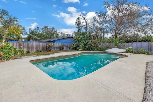 view of swimming pool featuring a fenced backyard, a fenced in pool, and a patio